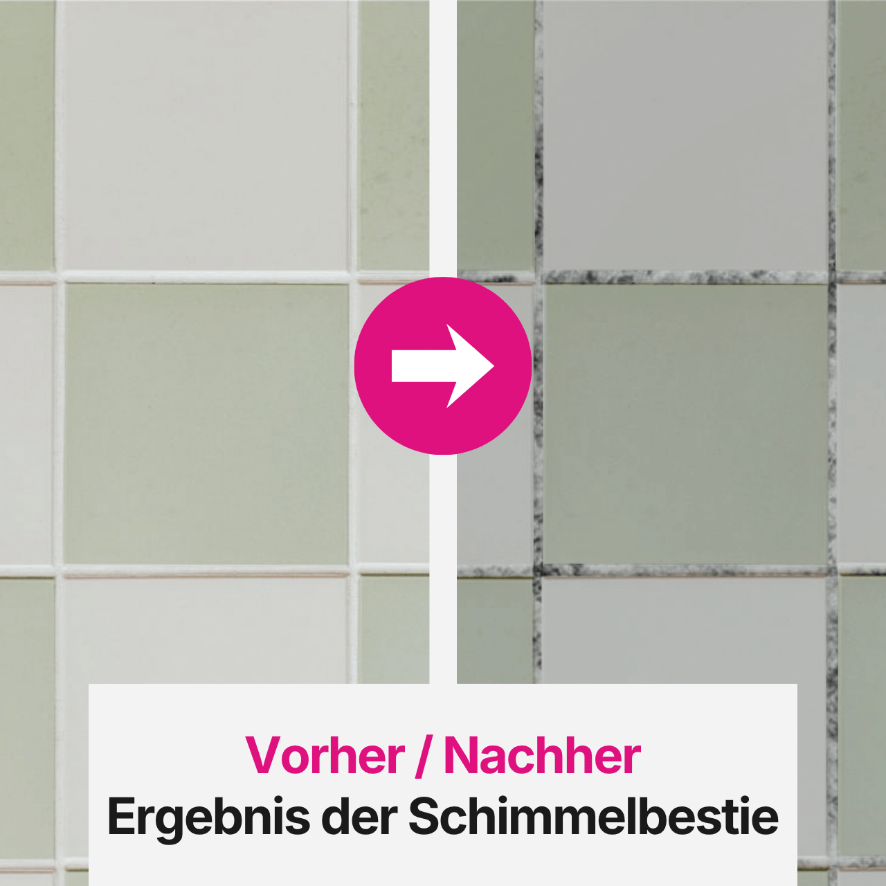 Pink Chilli Anti-Schimmel-Set