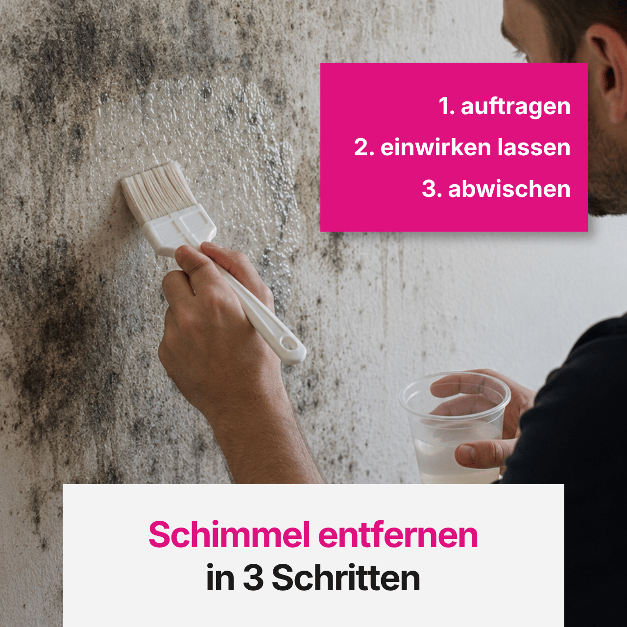 Pink Chilli Anti-Schimmel-Set